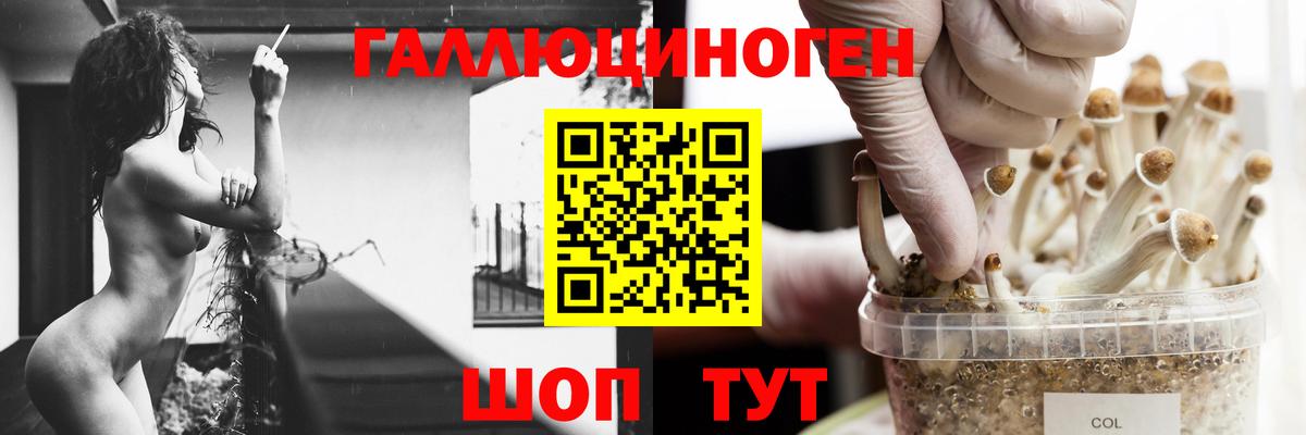 Псилоцибиновые грибы прущие грибы  Вход с VPN  Людиново 